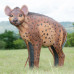 Wildcrete Hyena